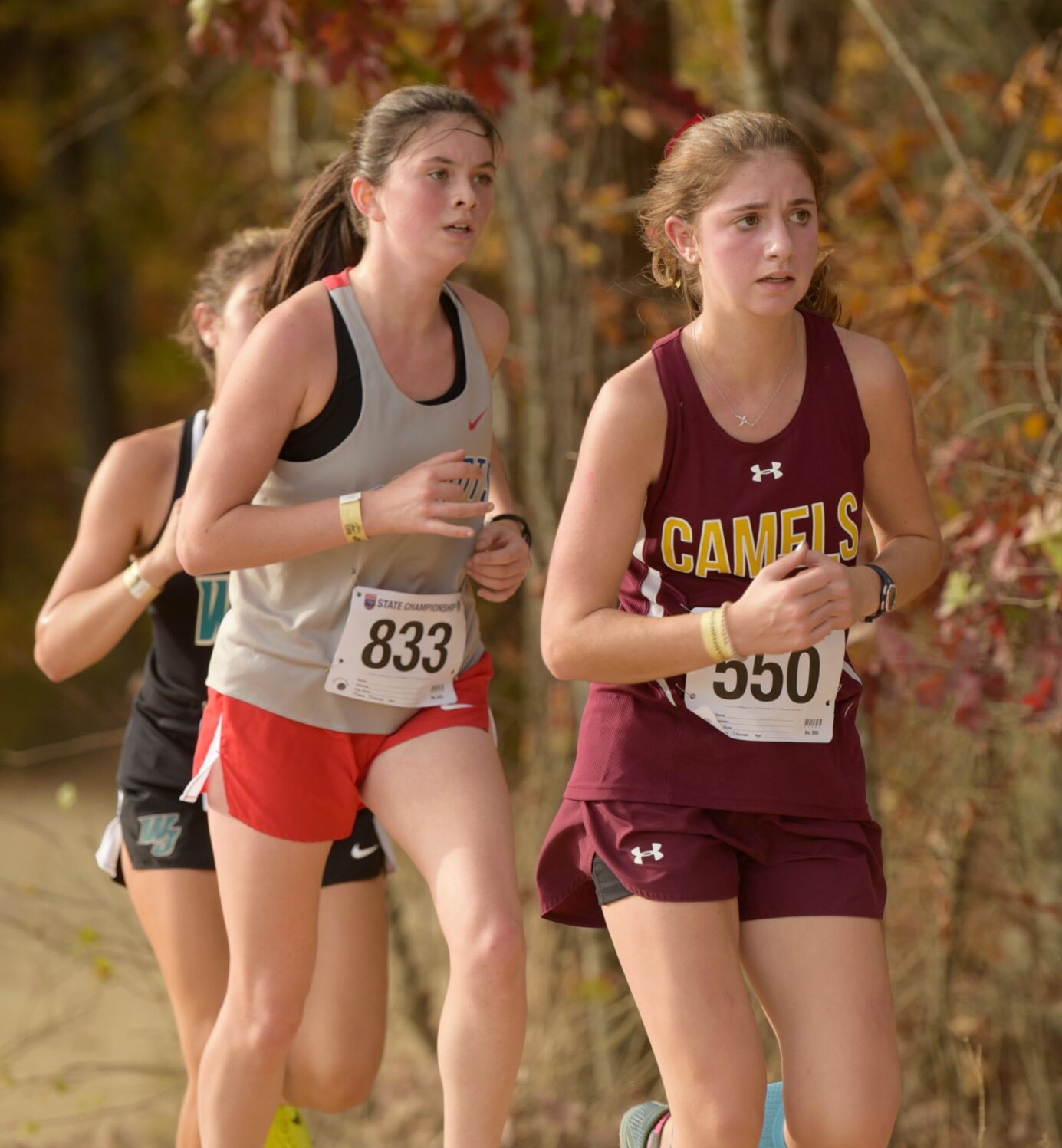 3A NCHSAA cross country championships